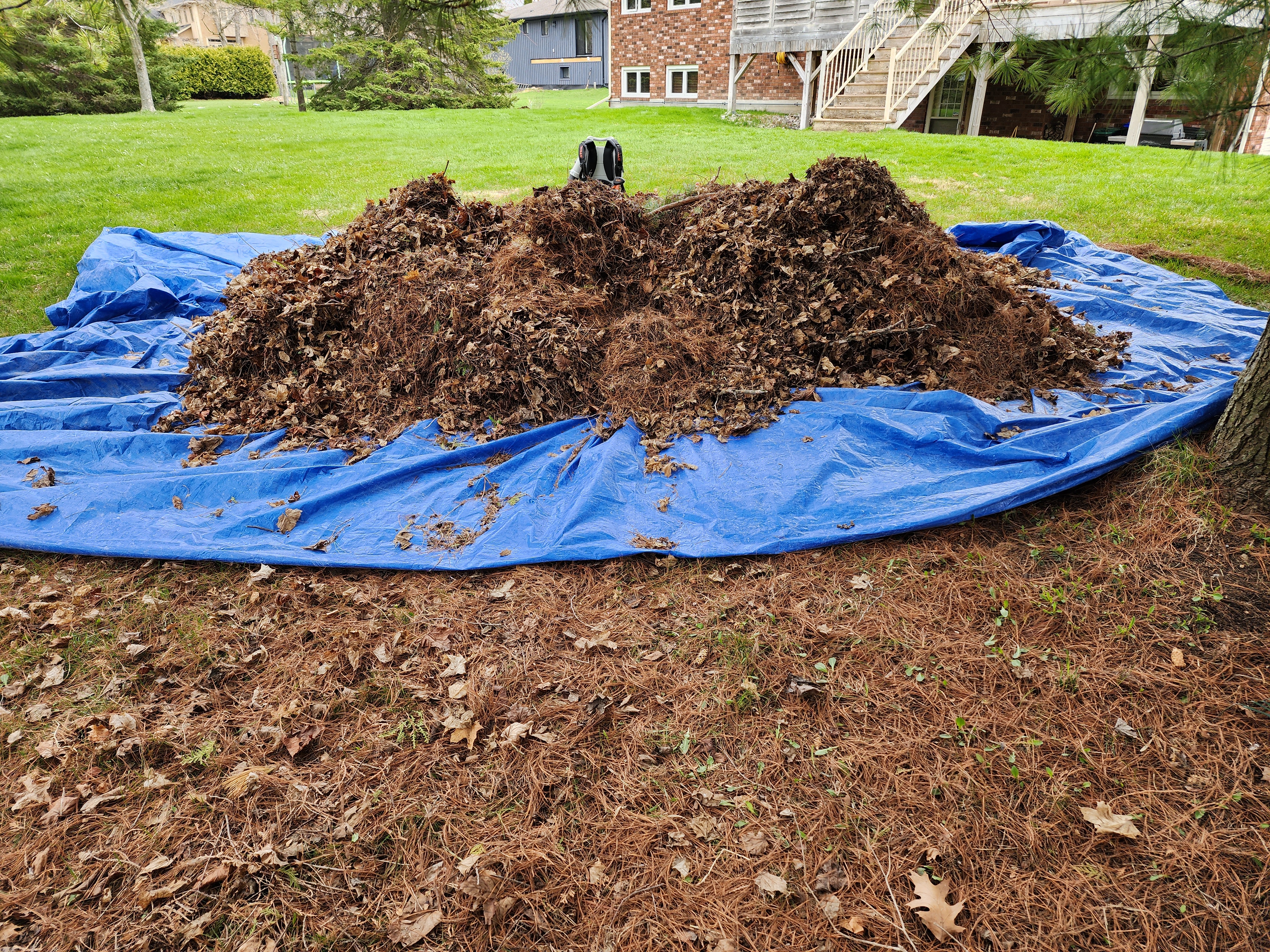 20230428 124011 | Northumberland Landscaping